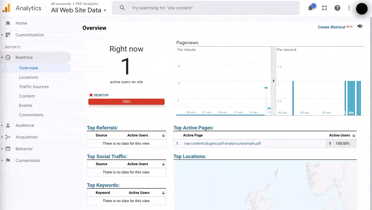Google Analytics - Realtime Dashboard showing traffic to an example PDF file